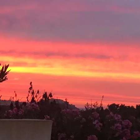 Patio F3 Avec Piscine Calvi (Corsica)