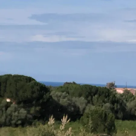 Patio F3 Avec Piscine Semesterbostad Calvi (Corsica)