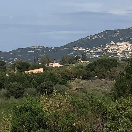 Patio F3 Avec Piscine Calvi (Corsica)